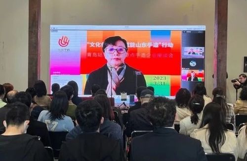 盛雅祺亮相“文化创意设计赋能山东手造”行动，推介Surforce纳米纤维膜创新成果